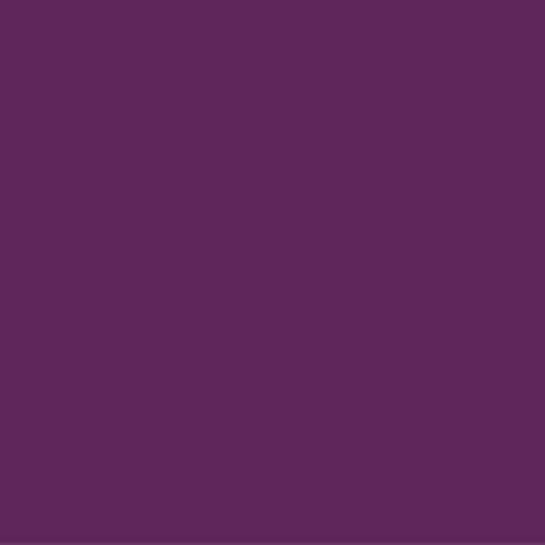 Daycolors Pink Obispo 0505 400ml