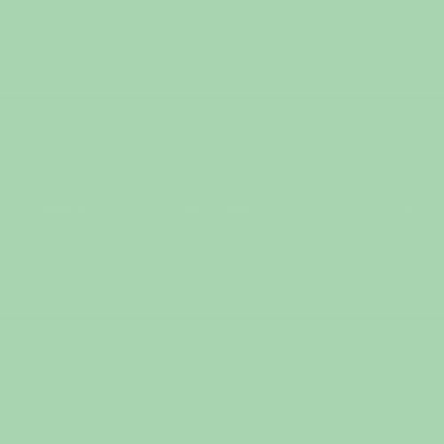 Daycolors Turquoise Nenuco 0600 400ml