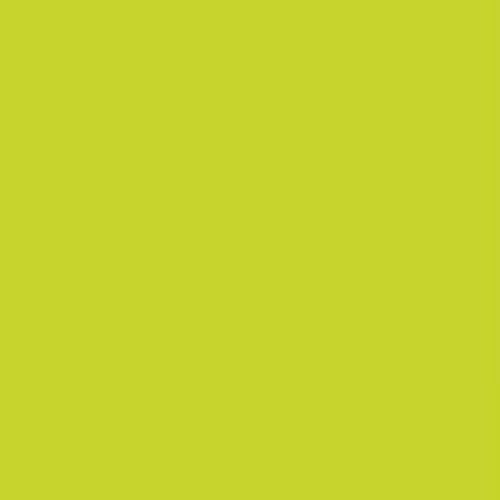 Daycolors Green Pistacho 0610 400ml