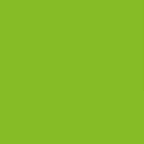 Daycolors Green Apple 0611 400ml