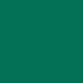 Daycolors Green New York 0616 400ml