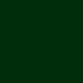 Daycolors Green Campus 0618 400ml