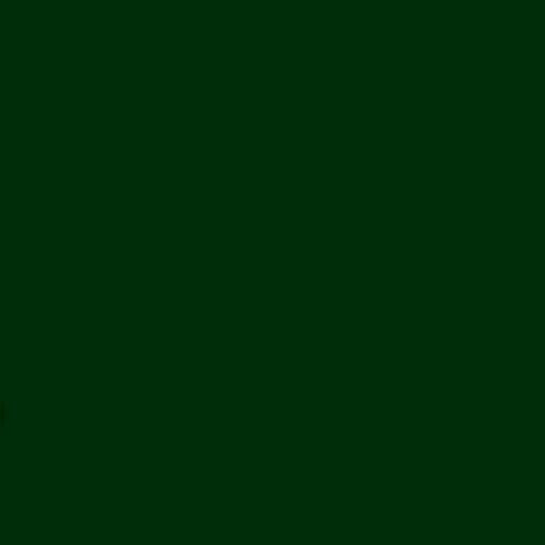 Daycolors Green Campus 0618 400ml