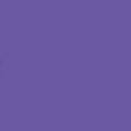 Daycolors Violet Pulpo 0704 400ml