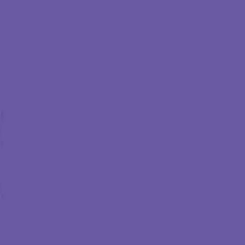 Daycolors Violet Pulpo 0704 400ml