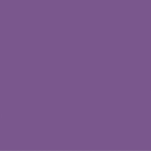 Daycolors Violet Pluton 0709 400ml