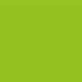 Daycolors Green Fluor 40 400ml