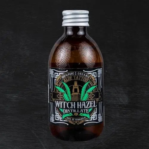 Tatuagem de Aloé Vera Hamamélia