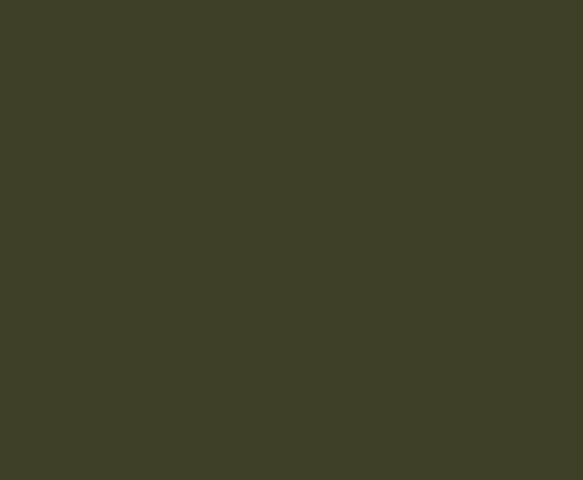 037 Military Green